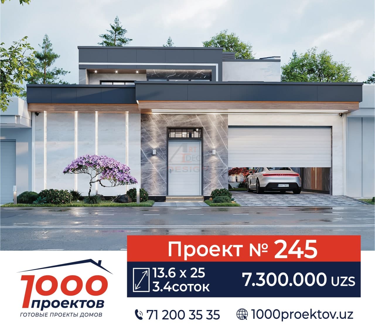 Проект № 245